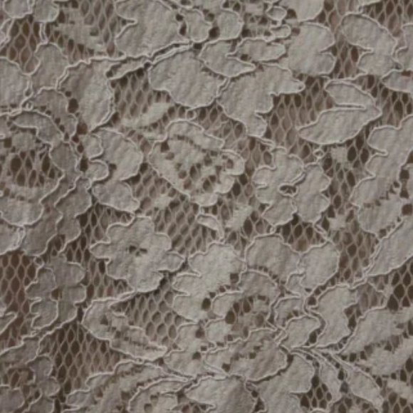 FOSSIL Champagne Blush Pink Lace Shift Dress (1309)🔮 - Picture 6 of 9